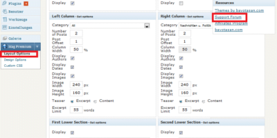 Schönerer Blog dank Premium Themes..