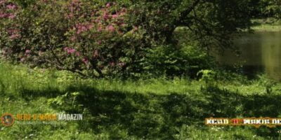 Sonntagsgedanken: haben Dir deine Eltern gesagt, wenn Du alles aufisst wirst Du gro&szlig; und stark? Dann tr&auml;um weiter!