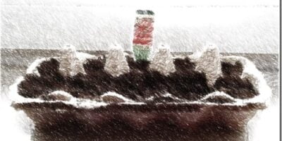 ab sofort bin ich Lebensmittelselbstversorger aus biologischem Anbau.. 12 ab sofort bin ich Lebensmittelselbstversorger aus biologischem Anbau..