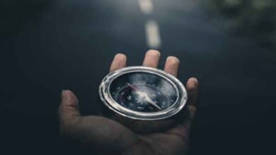 Monatsrückblick August 2023 - es wird nicht besser!.. 7 Monatsrückblick August 2023 - es wird nicht besser!..