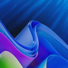 Windows Insider Wallpaper - dunkle Version für Tablets