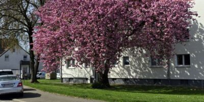 Monatsrückblick April 2026 - Was gab es denn so beim bunten Frühlingsbeginn?